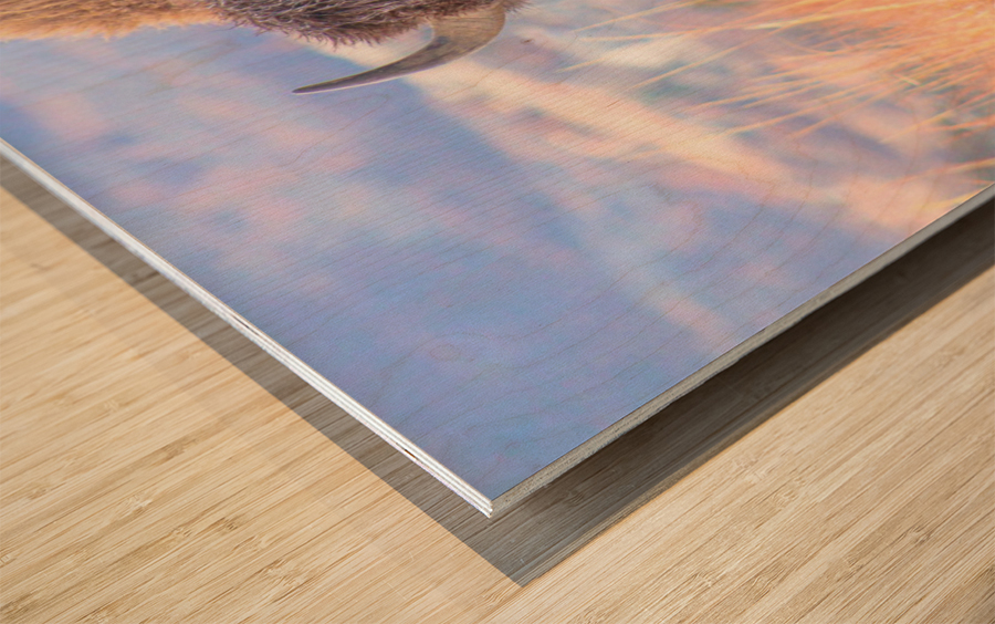 Mouthfull Wood print