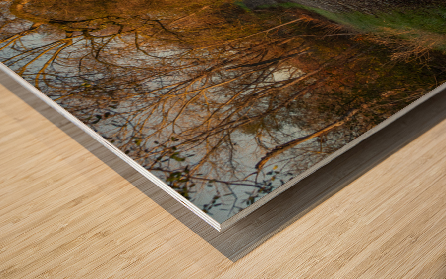 Morning Walk Wood print