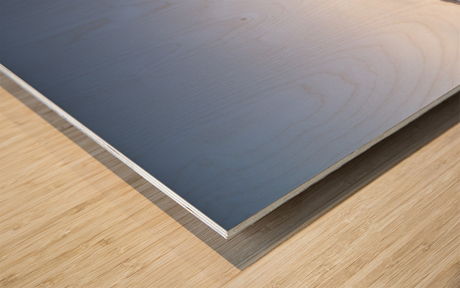 Western Breach Wood print