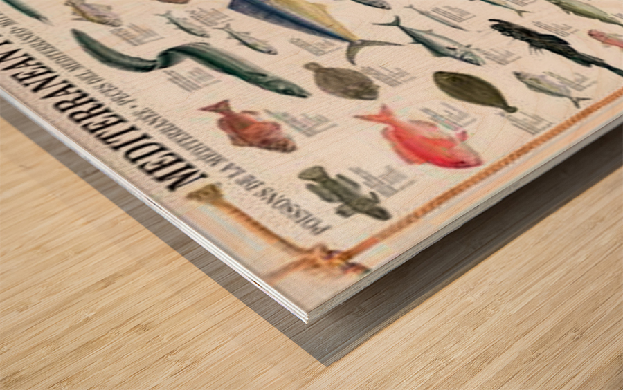 Mediterranean Fish Wood print