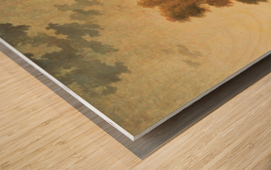 Landscape with a Waterfall and figures Wood print