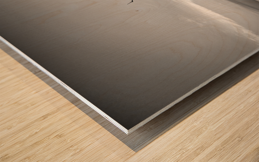 Iconic Tree Sunrise Driftwood Beach Black and White Wood print