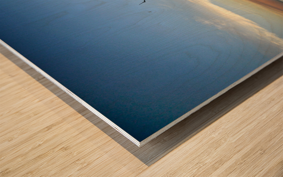 Iconic Tree Sunrise at Driftwood Beach Jekyll Island Wood print