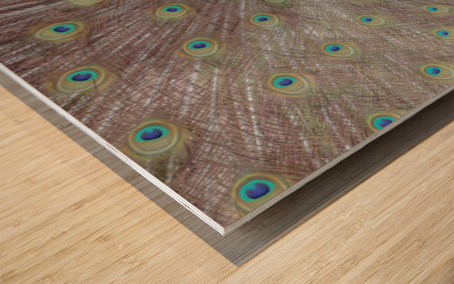 WILD IS MY FAVORITE COLOR SERIES-6 Wood print