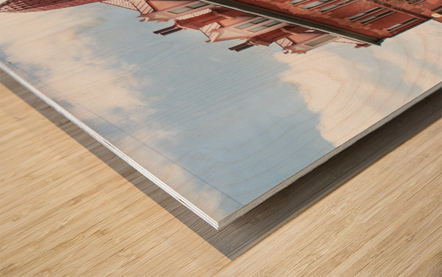 Chyenne - Light and Shadows Limited Series-2 Wood print