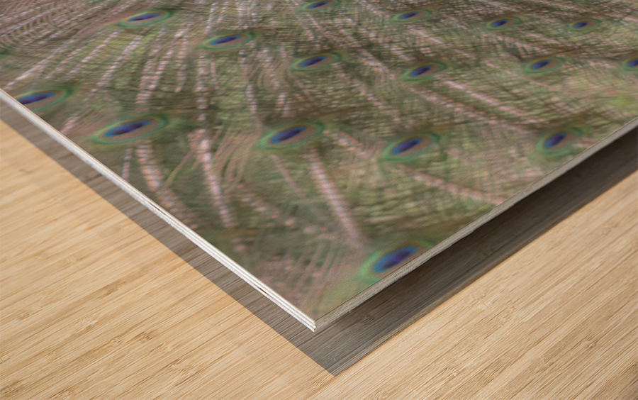 WILD IS MY FAVORITE COLOR SERIES-5 Wood print