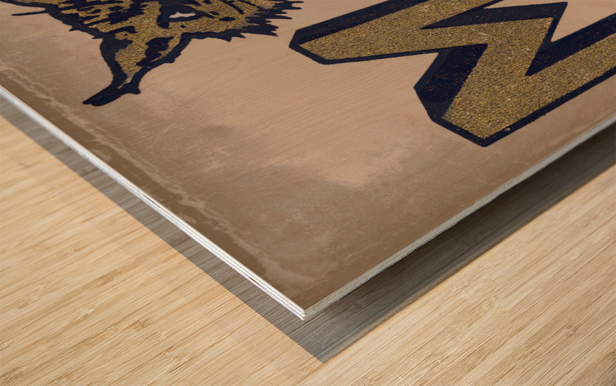 Vintage Montana State Bobcat Art Wood print