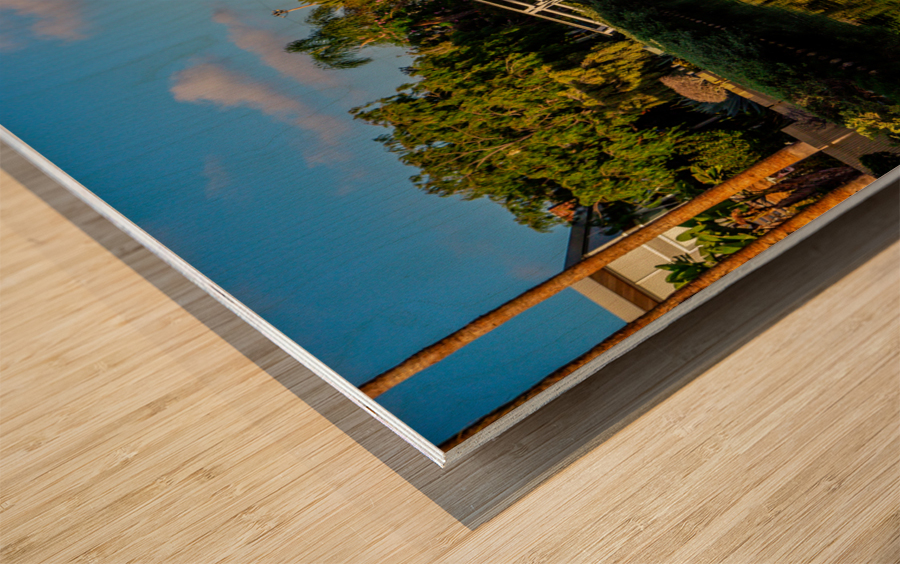 Venice Canal Wood print