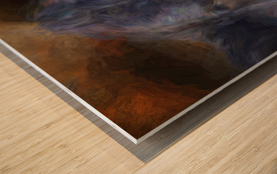 Black Angus Portrait  Wood print