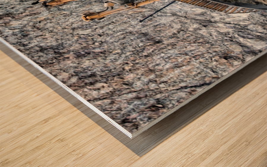 Earth Mover Wood print