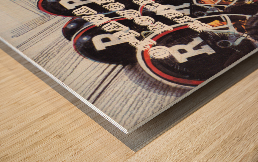 1980 Ottawa Rough Riders Football Art Wood print