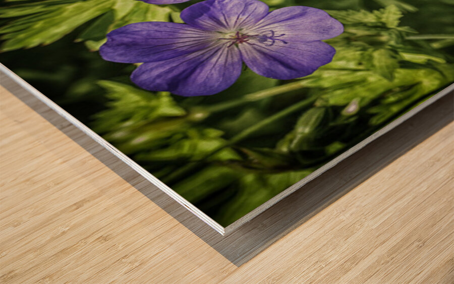 purple flowers Wood print