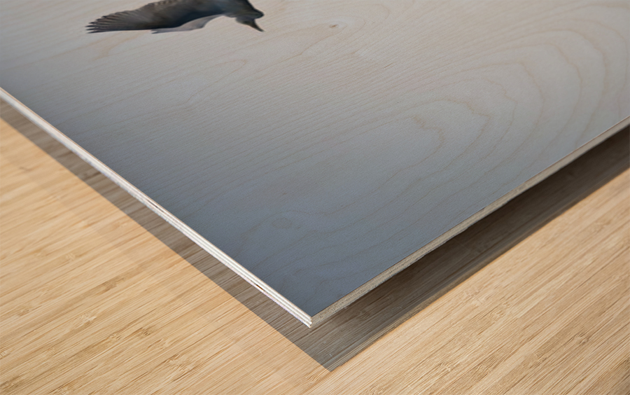 Birds duo Wood print