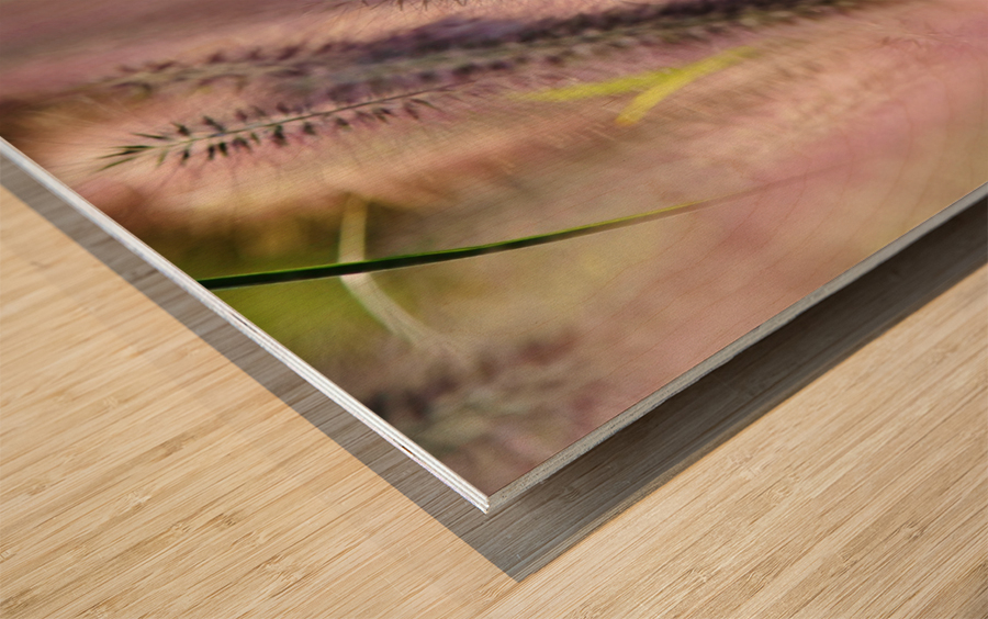 Summer Breeze Wood print