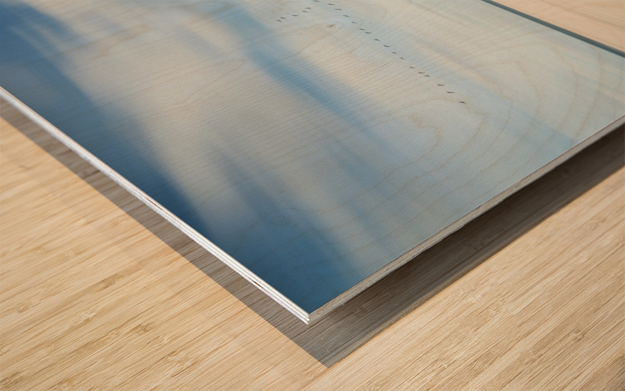 birds at the seaside Wood print