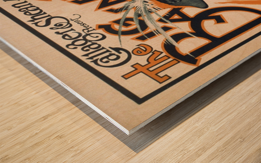 The Girl From Paris Vintage Theater Poster Wood print