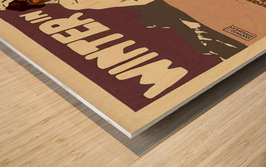 Winter in Bayern travel poster Wood print