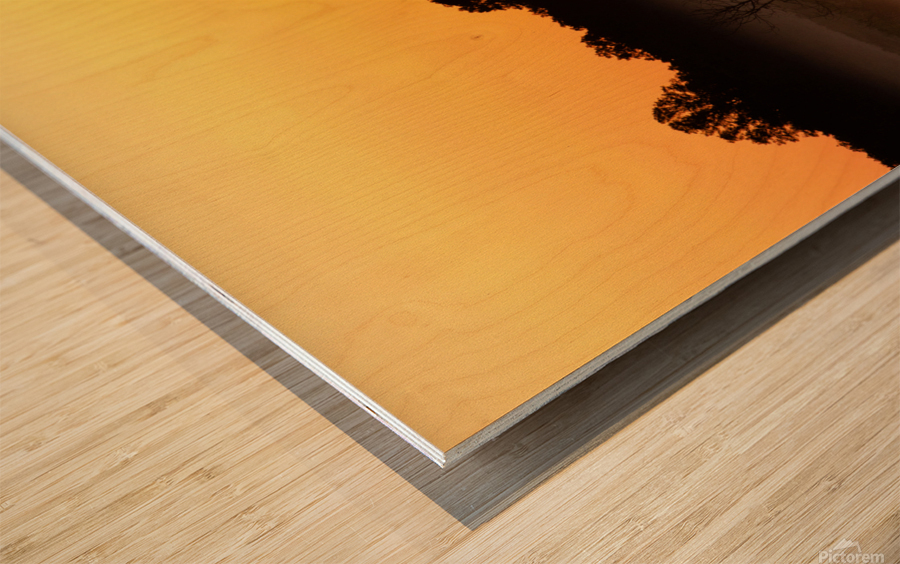 Grassland Sunrise 1 Wood print