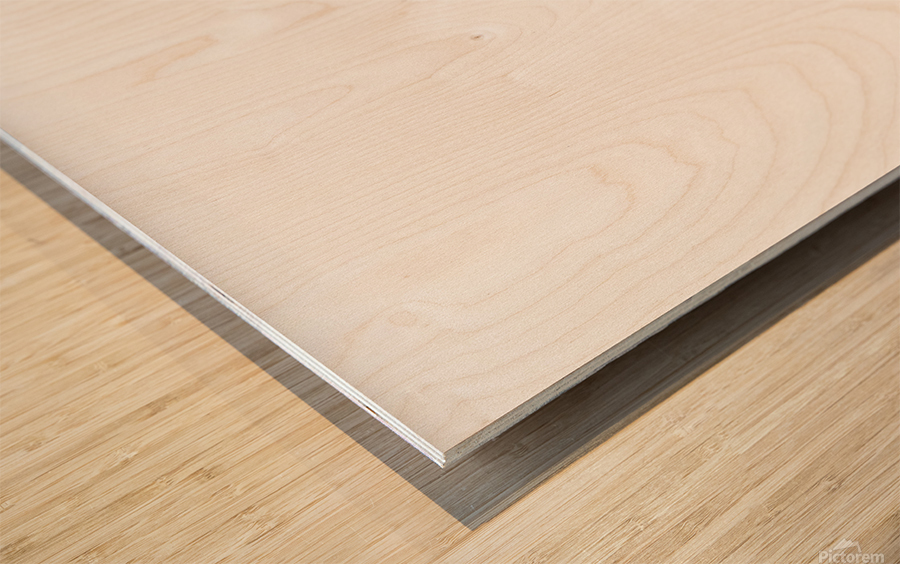 Show me the money - Jerry Maguire Wood print