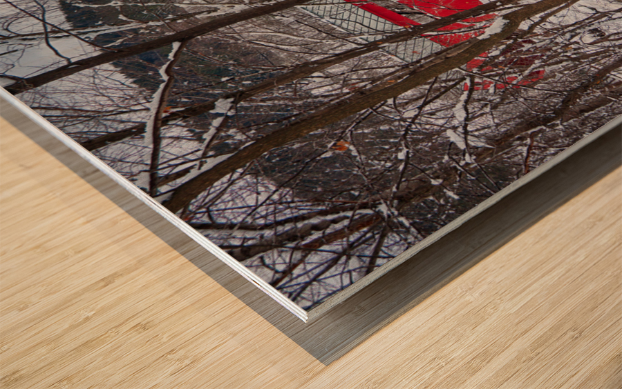 Taftsville covered Bridge VT 10 Wood print