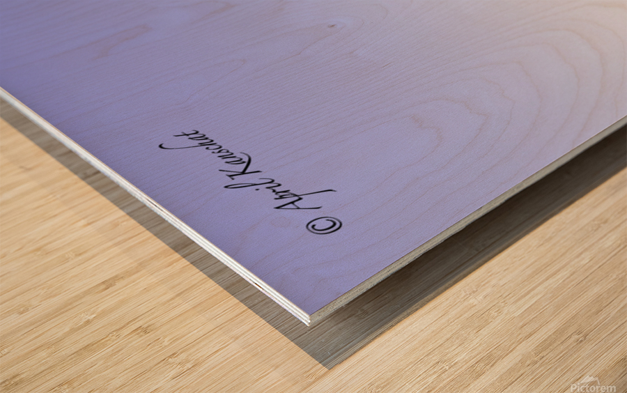 Big Sur Seagull Wood print