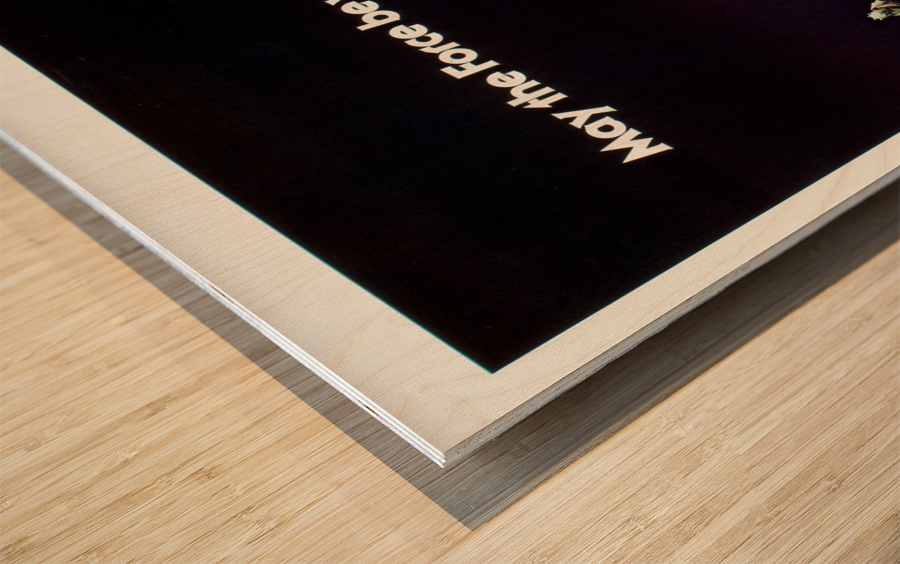 1978 Star Wars Birthday Cake Poster Wood print