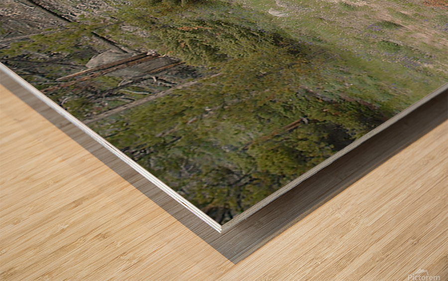 AmongTheTrees - portrait Wood print