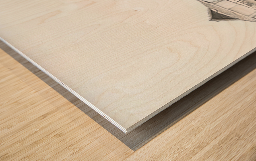 Naples Pier Black White Vision Wood print