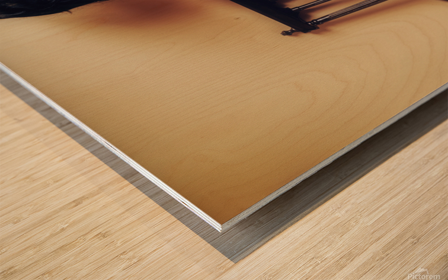 Young Chinese woman vintage studio portrait Wood print