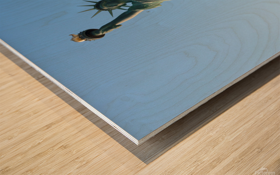 Statue of Liberty Wood print