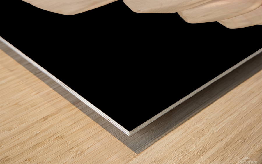 Veneer placement procedure 3D illustration Wood print