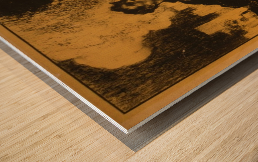 America gave it all Wood print