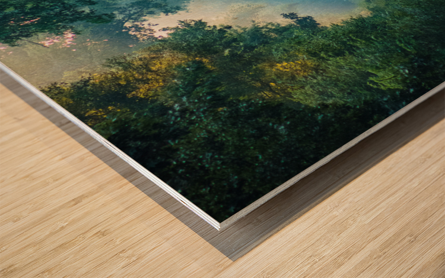 Adventure Awaits Wood print