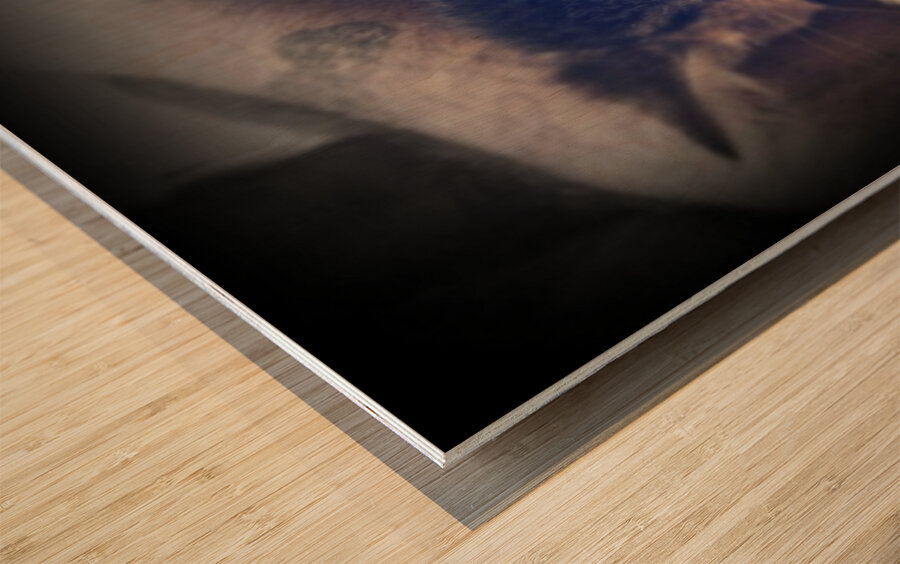 sleepy cortez Wood print