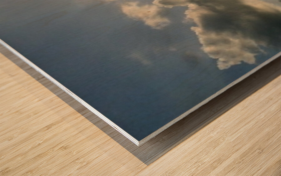 Sunny days Wood print