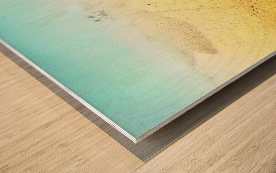 Cat Sandbox Wood print