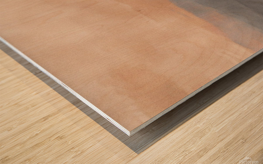 Desert Bloom Wood print