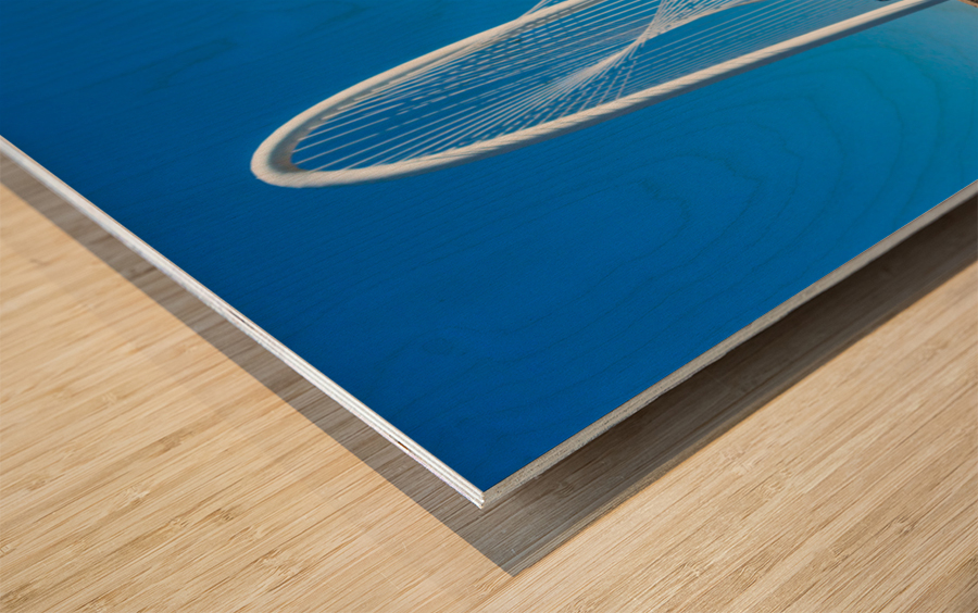 Pick Your Seat Wood print