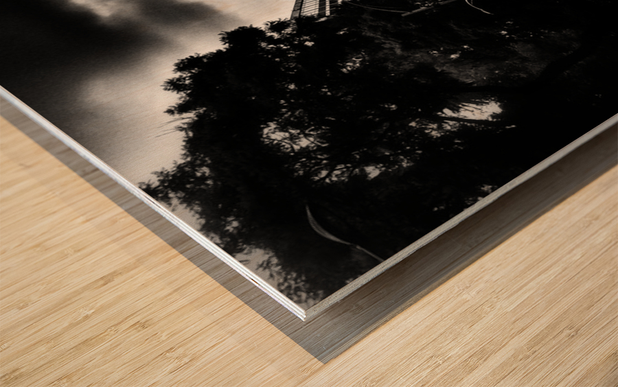 El Angel  Wood print