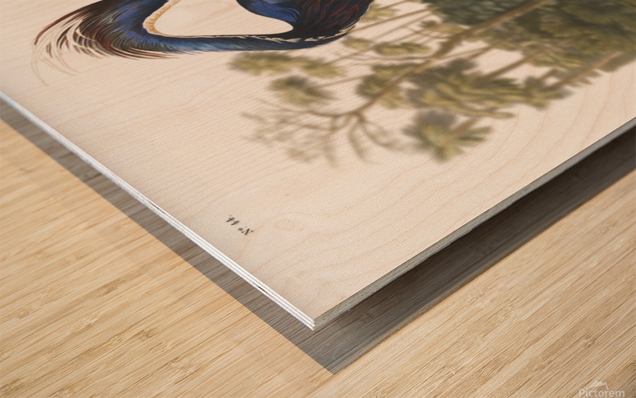 24x36 lou heron Wood print