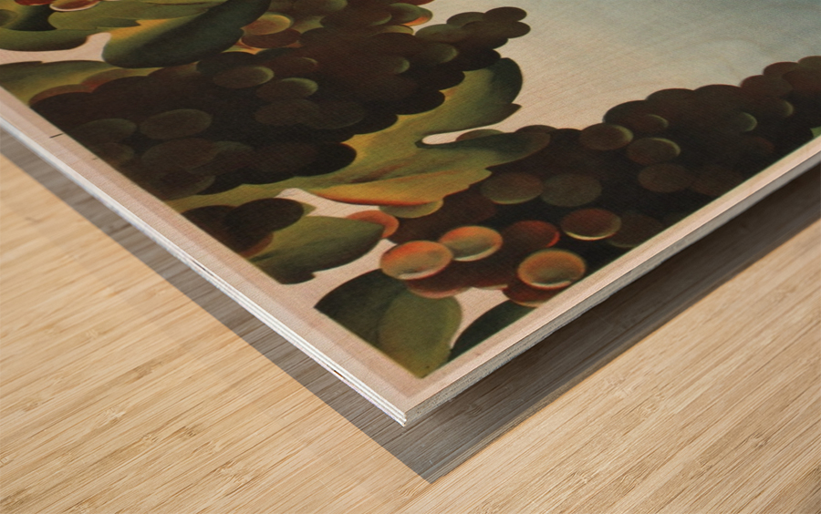 Italy vintage travel poster, 1935 Wood print