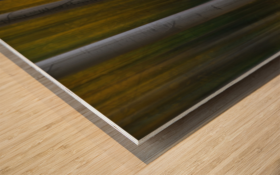 Roosevelt National Forest Wilderness Wonderla Wood print