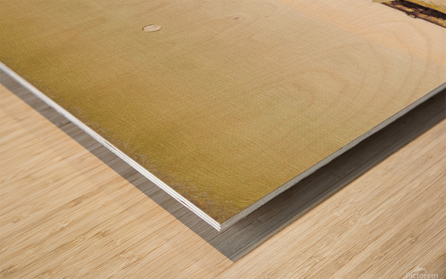 Full moon marina Wood print