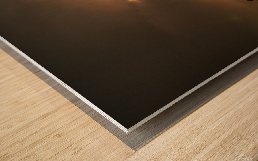 Mexico City Sunset Impression sur bois