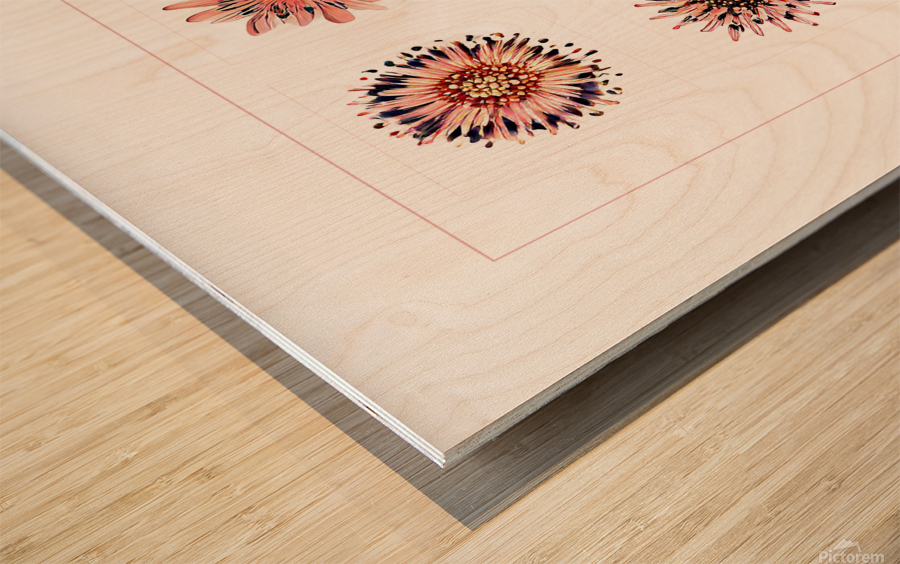 Starburst 2x2   Salmon Rouge and Charcoal 6 Wood print