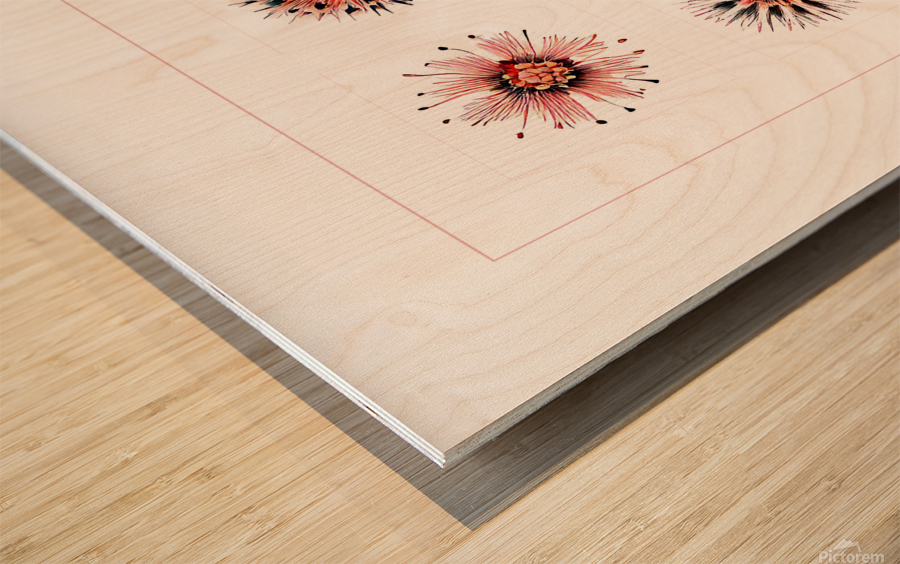 Starburst 2x2   Salmon Rouge and Charcoal 1 Wood print