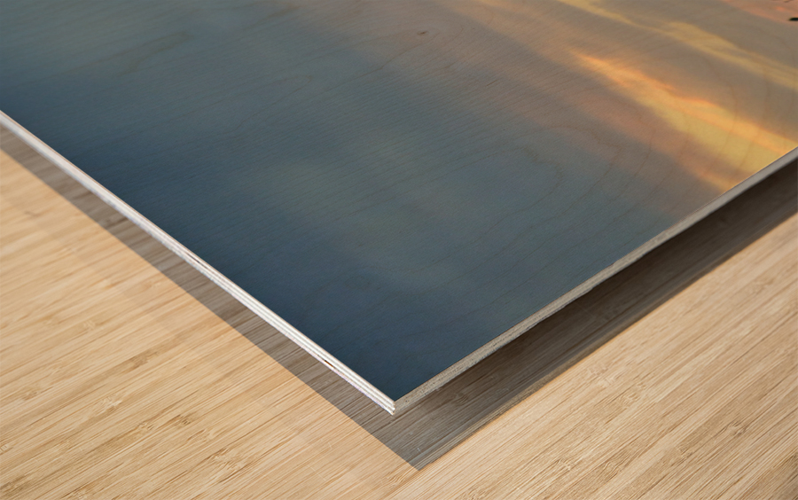 Every day has something special.  Wood print