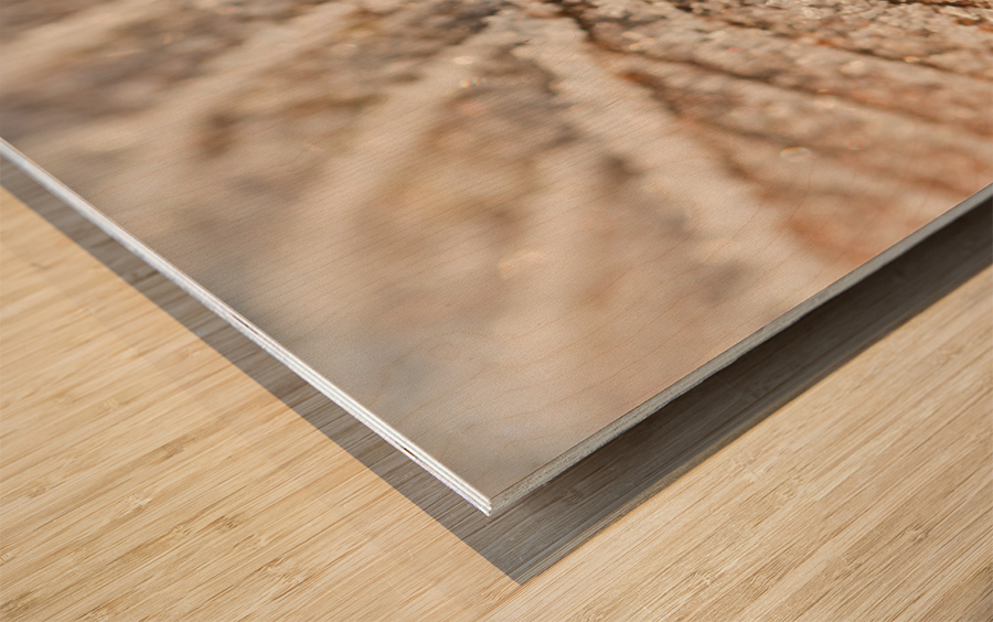 Frozen Leaf Wood print