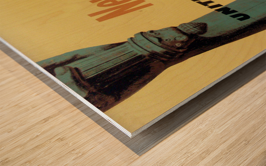 New York United Air Lines Statue of Liberty poster Wood print