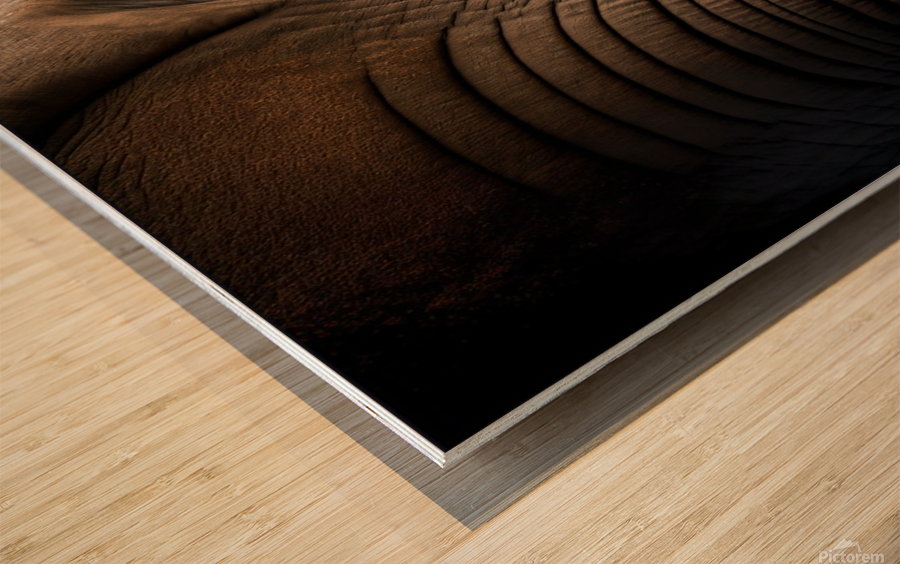 African Elephant Digital Portrait Wood print